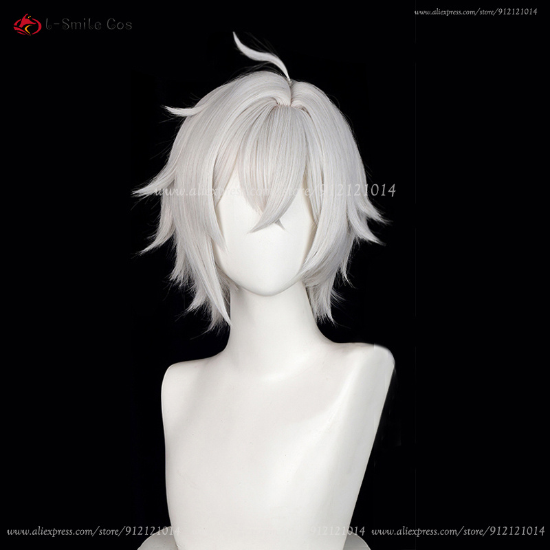 Парик для косплея ZZZ Seth Low – обзор и цена Men Accessories Silver